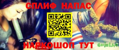 шишки Ирбит