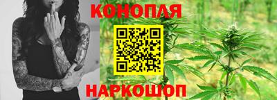 шишки Ирбит