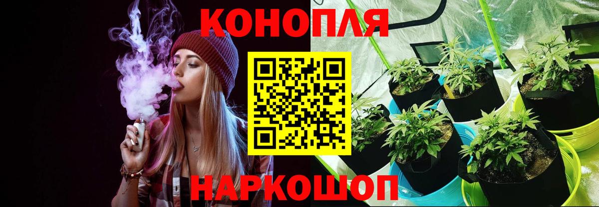 Лесной  Бошки Шишки тримм  Вход с VPN  Канабис Bruce Banner  Бошки марихуана White Widow 